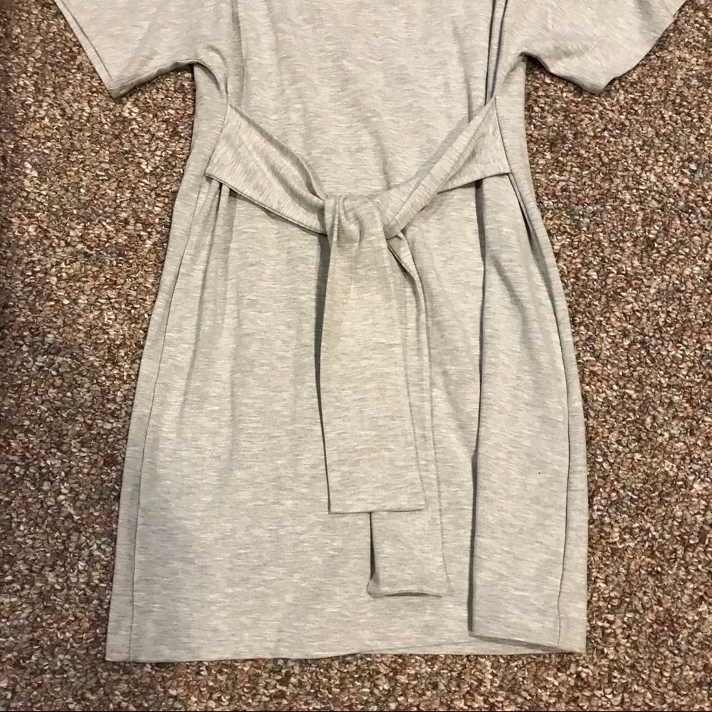 Express Dress - Picture 4 of 4